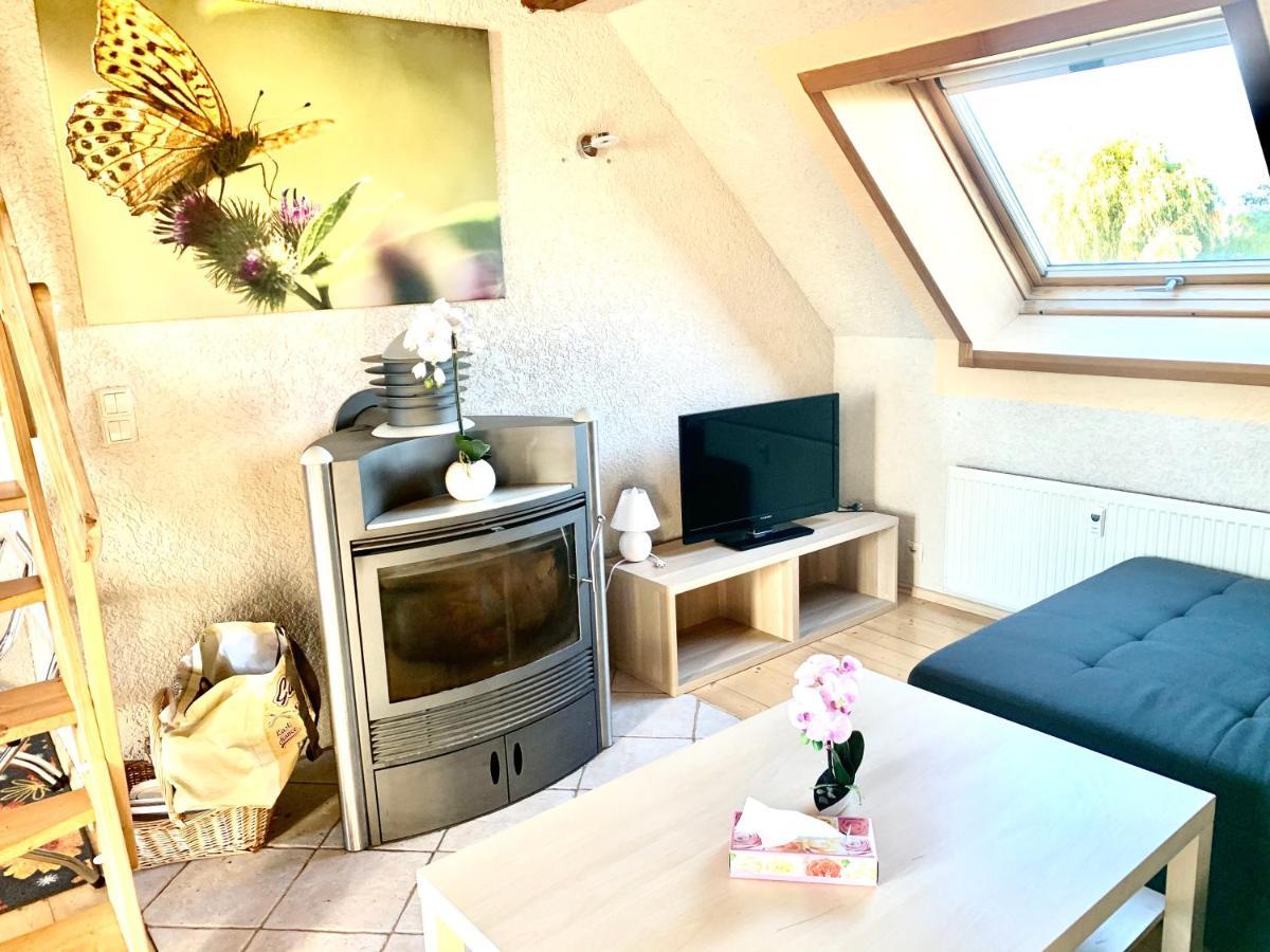 #World Ferienwohnung Schkeuditz Εξωτερικό φωτογραφία